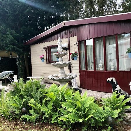 Retro Relax Resort Midden In Het Bos Op De Veluwe In Putten Exteriör bild